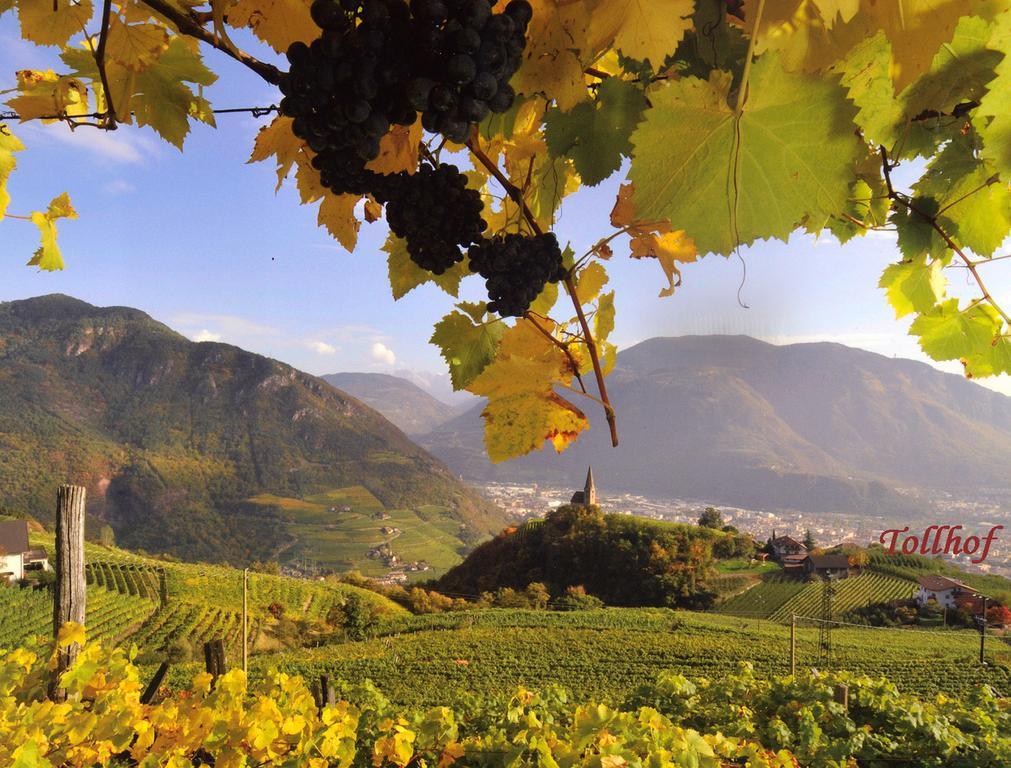 Tollhof Villa Bolzano Exterior photo