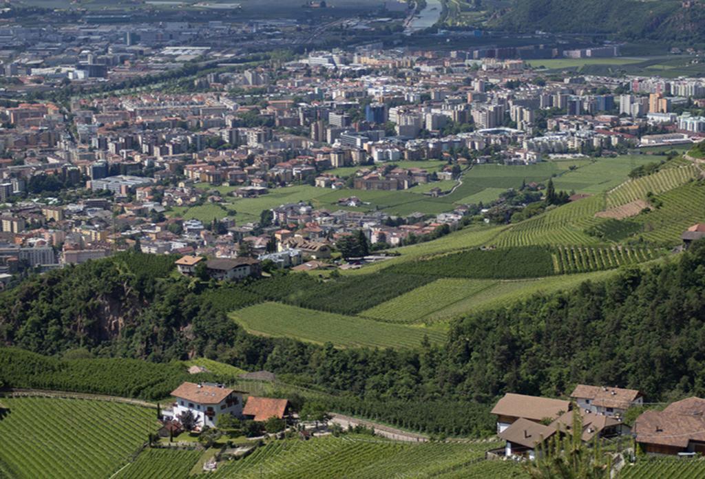 Tollhof Villa Bolzano Exterior photo